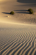 Mesquite Dunes ,Death Valley,National Park