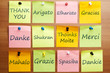 Thank you word in 12 languages Thank you word in 12 languages