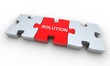 Puzzle Solution