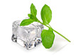 Photo: Ice cube with fresh mint Ice cube with fresh mint