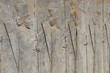 Persepolis - ruins of Xerxes & Darius palace