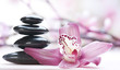 Spa Stones