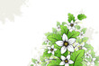 Vector grunge floral background