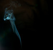 Smoke Ant