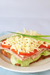 Tasty ham, tomato and cheese sandwich Tasty ham, tomato and cheese sandwich