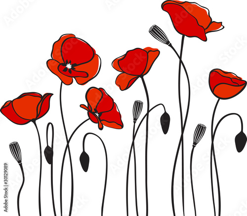 Vektor: red poppies red poppies