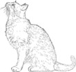 line drawing cat vector line drawing cat vector
