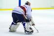 hockey player