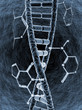 DNA strand