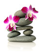Orchids on stacked stones Orchids on stacked stones