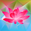 Vector lotus