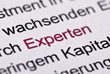 Experten