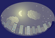 View the city at night in the moonlight