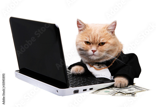 Photo: Red cat sitting on the laptop, dollar Red cat sitting on the laptop, dollar