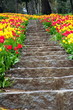 steps covered by flowers steps covered by flowers