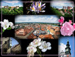 Photo: Pirna-Collage Pirna-Collage