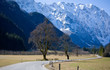 curved road in alps curved road in alps