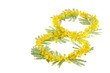 8 Marzo