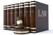 Judges gavel and law books