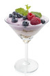 Yogurt