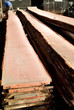 tronc coupé, grume