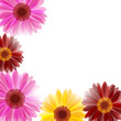 Fantasy floral background Fantasy floral background