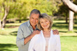 Lovers in the park