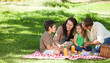 Photo: Family picnicking together Family picnicking together