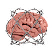 censorship, freedom of speech 3d concept - brain under barbwire