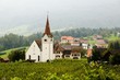 Vineyard and church