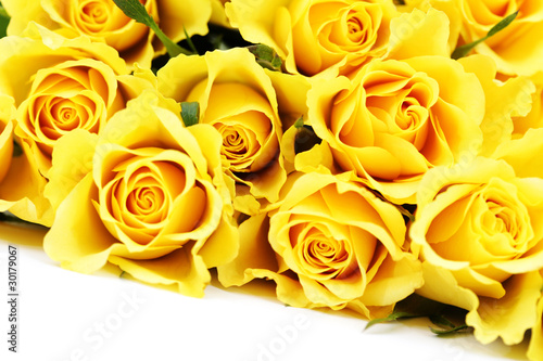 Photo: yellow roses yellow roses