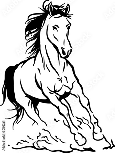Vector: running horse running horse