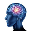 szikrája zseniális agy vezetője lebeny kéreg intelligencia