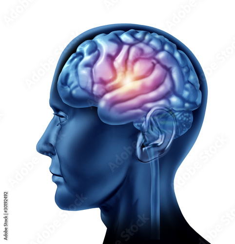 Illustration: spark of genius brain head lobes cortex intelligence spark of genius brain head lobes cortex intelligence