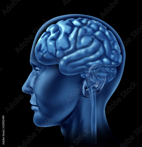 Illustration: brain side view medical mental health brain side view medical mental health