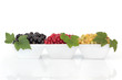 Summer Fruit