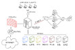 Hand drawing network