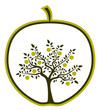 apple tree in apple