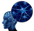 Human brain medical symbol represented by a close up of neurons