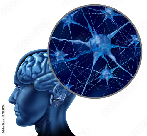 Illustration: Human brain medical symbol represented by a close up of neurons Human brain medical symbol represented by a close up of neurons