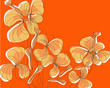 flower wallpaper
