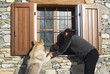 Man and dog looking at window