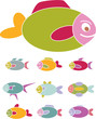 fish signs fish signs