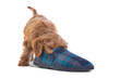 Puppy playing with slipper