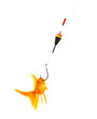Goldfishes and cat