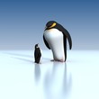 Fun penguins