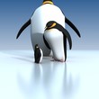 Fun penguins
