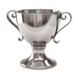 Silver Cup of the winner