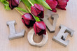love et tulipes 2