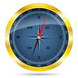 Gold Compass